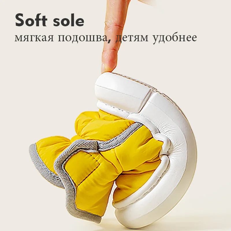 S9a94569c0bd8448db97fef1b26005e8eC